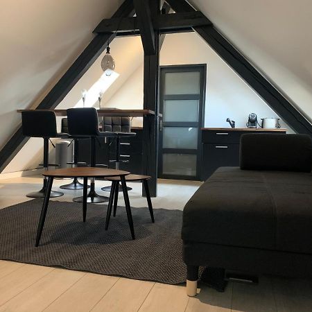 Cocoon Loft Lägenhet Colmar Exteriör bild