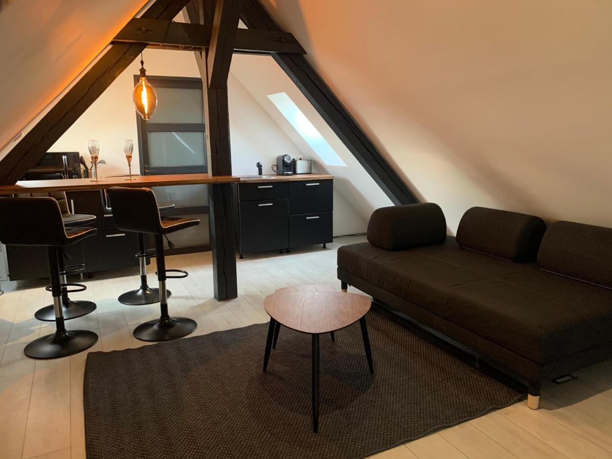 Cocoon Loft Lägenhet Colmar Exteriör bild