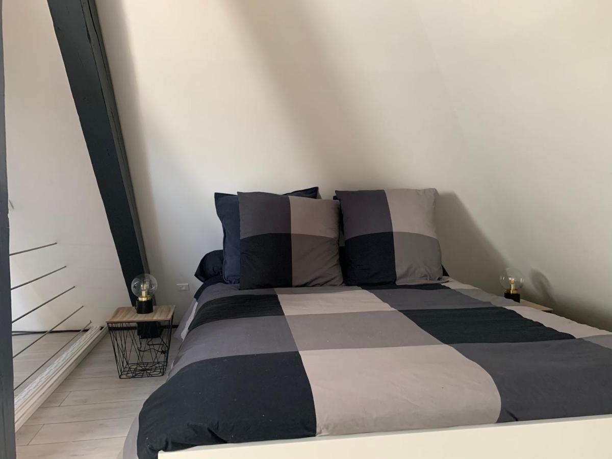Cocoon Loft Lägenhet Colmar Exteriör bild