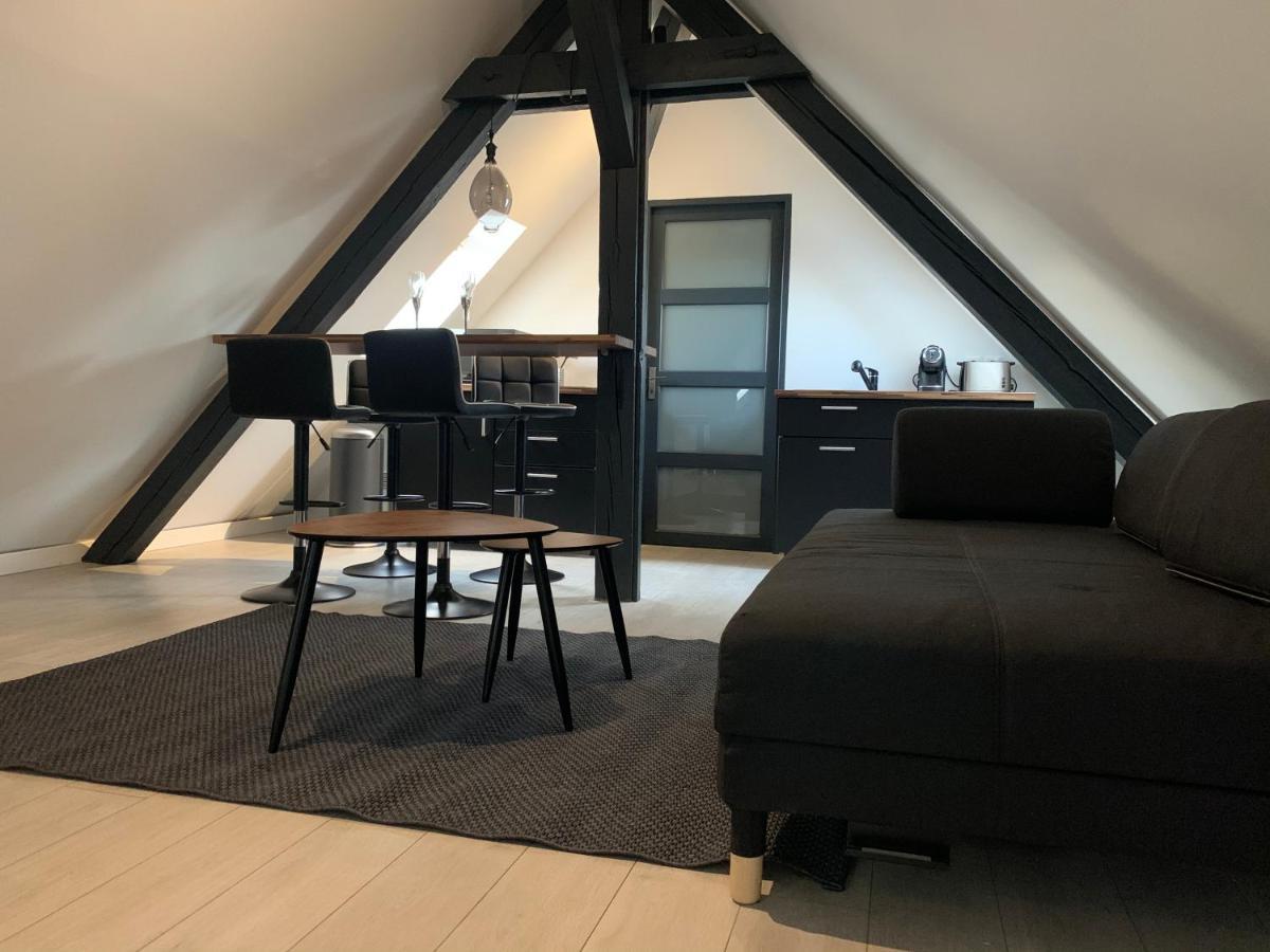 Cocoon Loft Lägenhet Colmar Exteriör bild