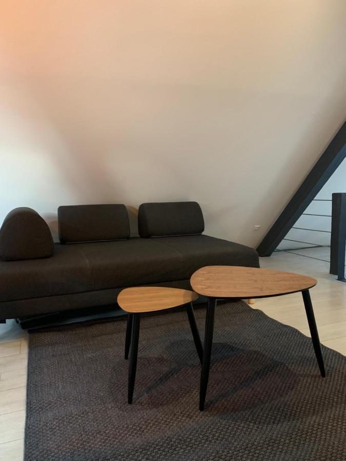 Cocoon Loft Lägenhet Colmar Exteriör bild